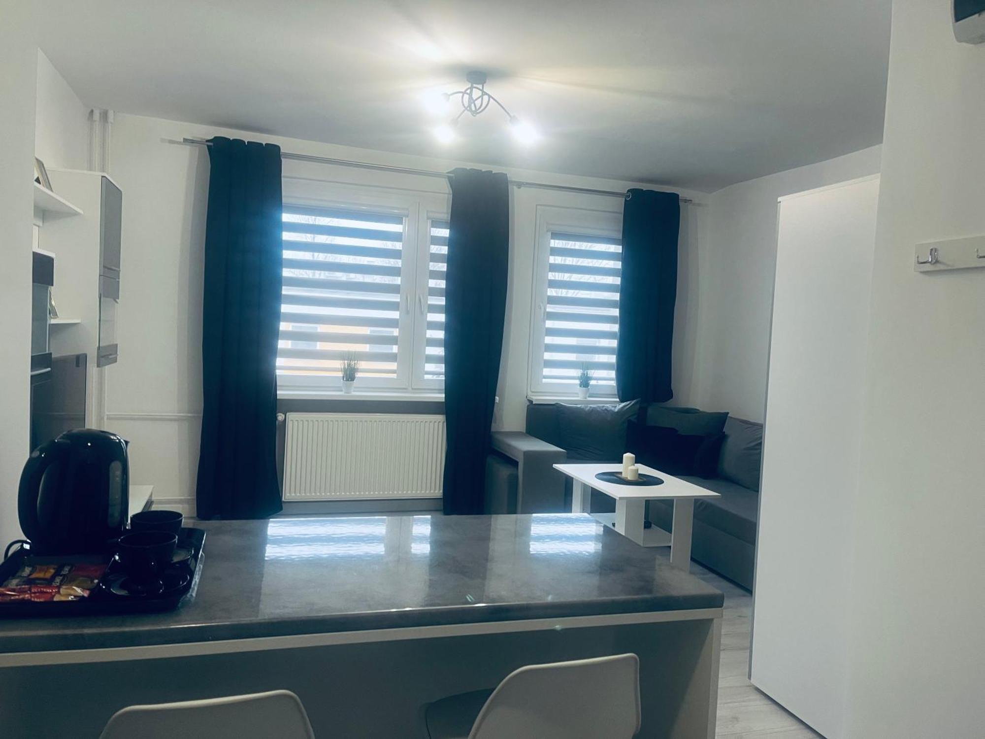 Silver Apartament 卡托维兹 外观 照片