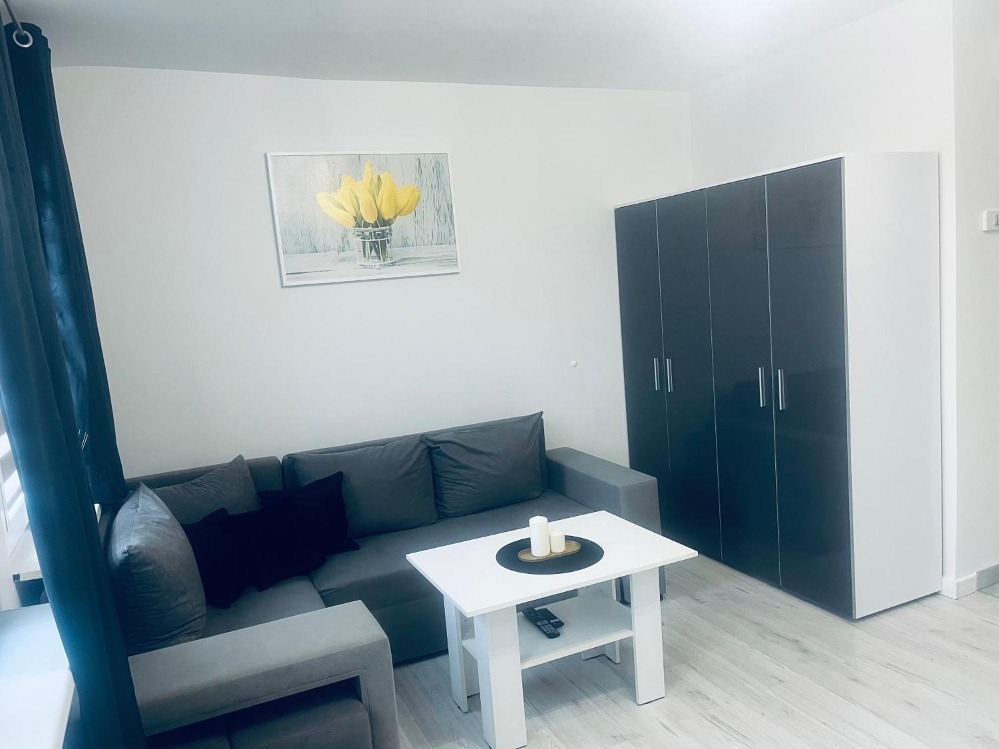 Silver Apartament 卡托维兹 外观 照片